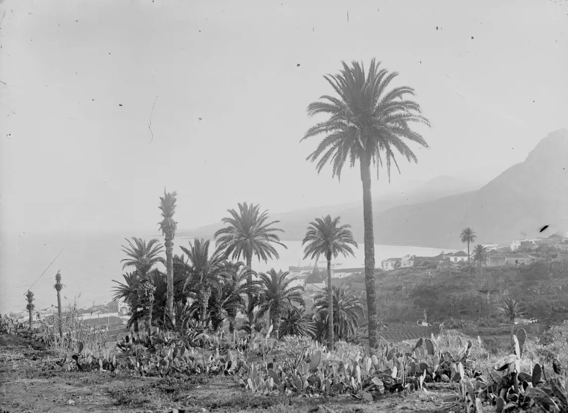 Vista parcial desde El Planto